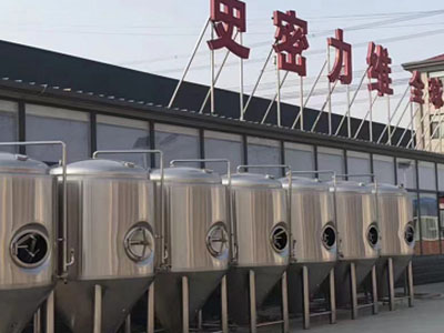 赵西垸林场精酿啤酒设备厂—如何判断精酿啤酒设备的密封件需要更换?